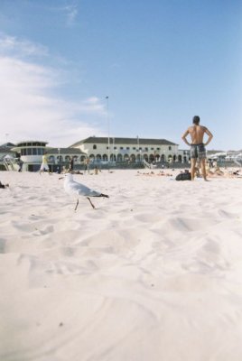 F1090029_birdnbod.jpg