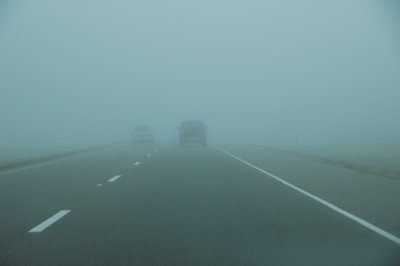 DSC_8596.JPG