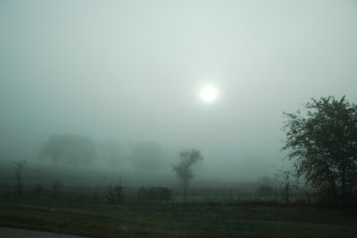 DSC_8603.JPG
