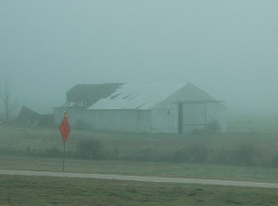 DSC_8634.JPG