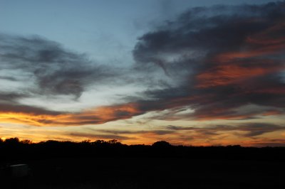 DSC_8690.JPG