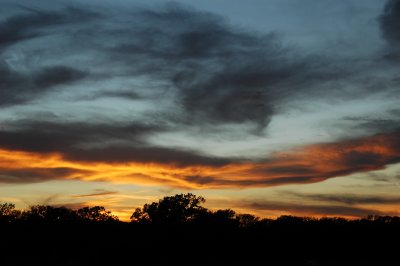 DSC_8692.JPG