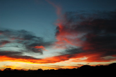 DSC_8710.JPG