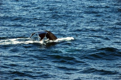DSC_0815.JPG