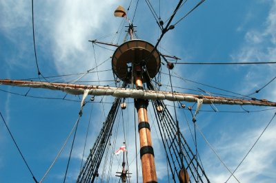 DSC_1217.JPG