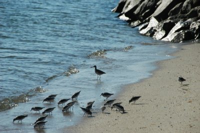 DSC_1407.JPG