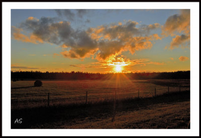 hayfieldsunset.jpg