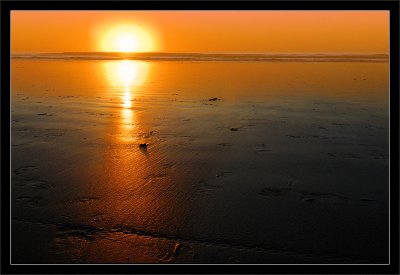 Black's Beach Sunset