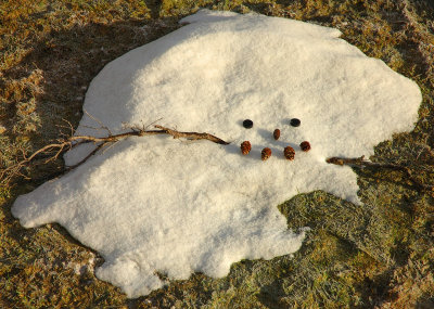 The Death Of A Snowman