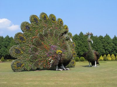 055
