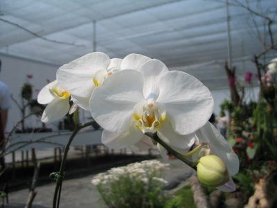 082