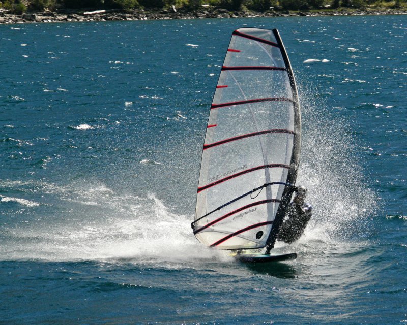 Waterton Windsurfer.jpg