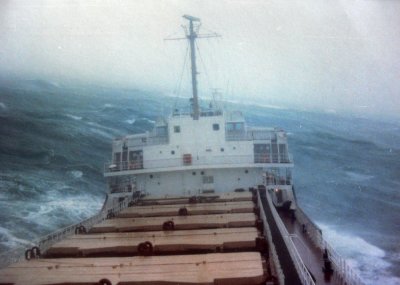 WildDayAtSea.jpg