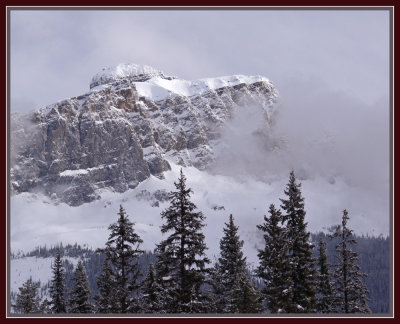 Emerald-Lake-View Mount Wapta.jpg