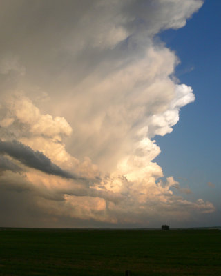 Storm.jpg