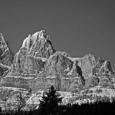 CastleBW-SqWeb.jpg