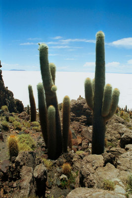 Uyuni Salt lake (Bolivia)