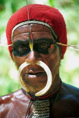 Dani warrior (West Papua)