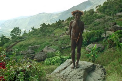 Dani village (West Papua)