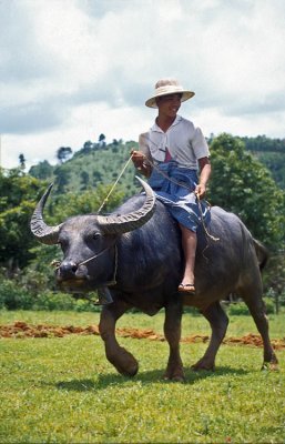 Fast way to Mandalay (Birma)