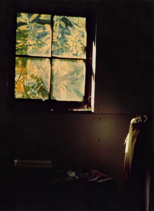 garagewindowlight by Kim Borchardt