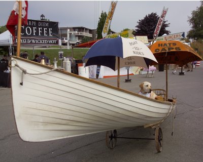 Boat Dog by John Oliveira