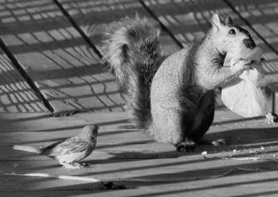 sharing does not come naturally