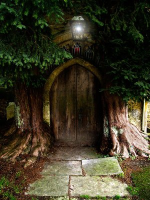 Entering Narnia by Flick Merauld