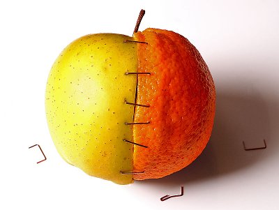 Apple-Orange 2in1 by MCsaba