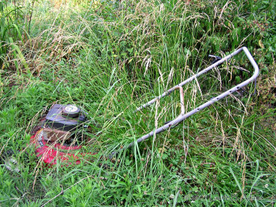 Too Much Grass by Laurie B. Adams
