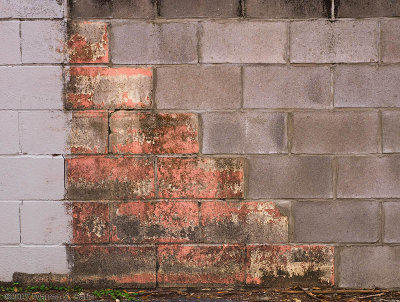 Too Much Wall, Not Enough Paint by Warren Sarle