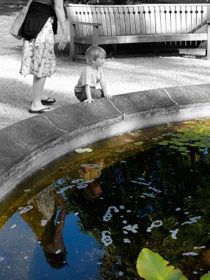 Reflections by Flick Merauld