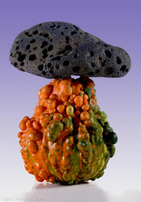 Basalt and Gourd by Warren Sarle