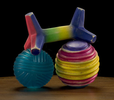 Dog Toys by Warren Sarle