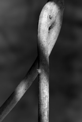 g6/90/420090/3/86752652.g8xkTTkt.jpg