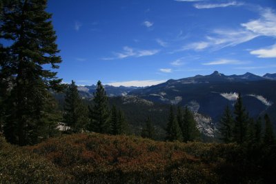 IMG_3272.jpg