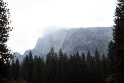 IMG_3315.jpg