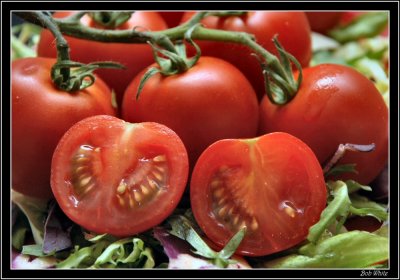 Tomatoes