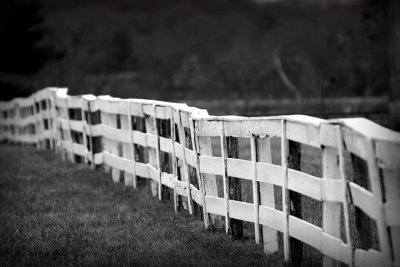 Fence