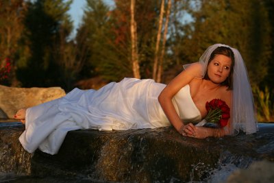 Trash the Dress