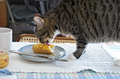 Heidi loving pimento cheese 01