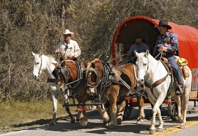 Saltgrass Trail Riders 16