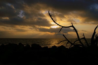 Daybreak at Jekyll Island