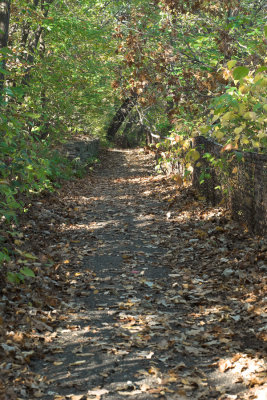 NHT_2698a.jpg