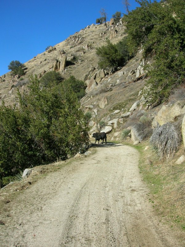 Lower Kern Canyon