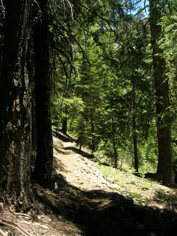 Summit Trail