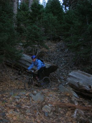 Jackson Lake Trail and West Blue Ridge