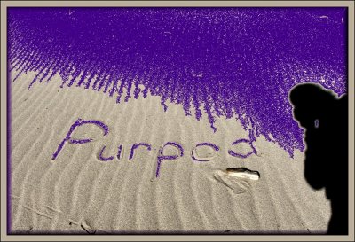 A Purpod B-day