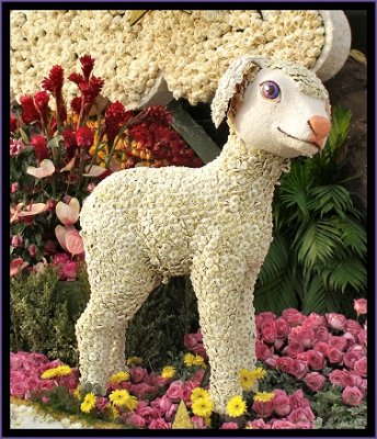 Marys Lil' Lamb