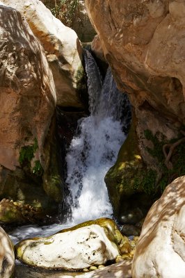 Wadi Bani Khalid Water falls